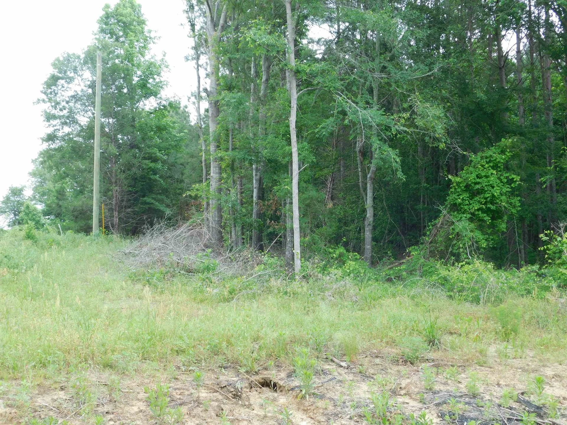 0.71 acres in Texas County - photo 2