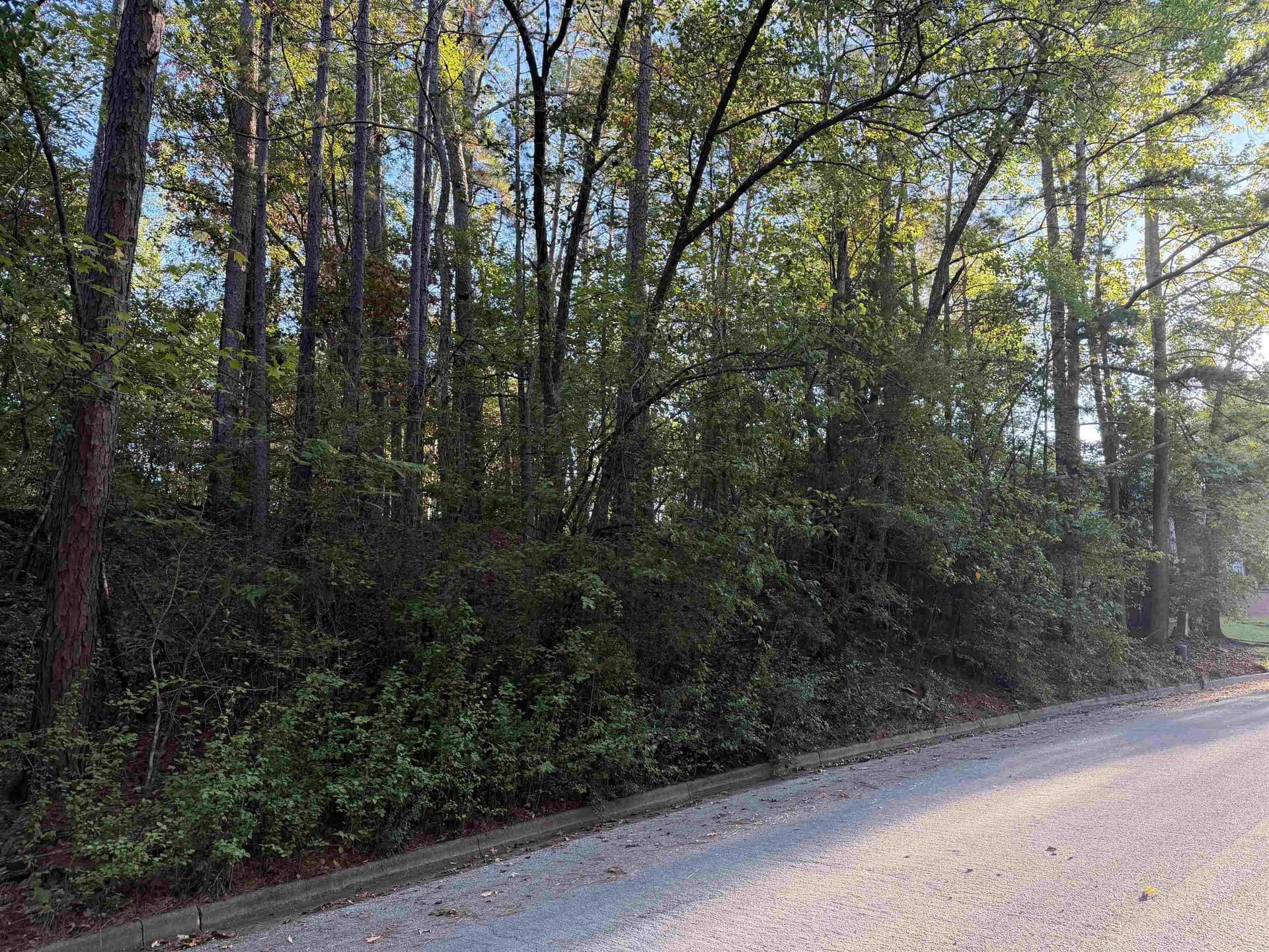 0.64 acres in Gregg County - photo 2