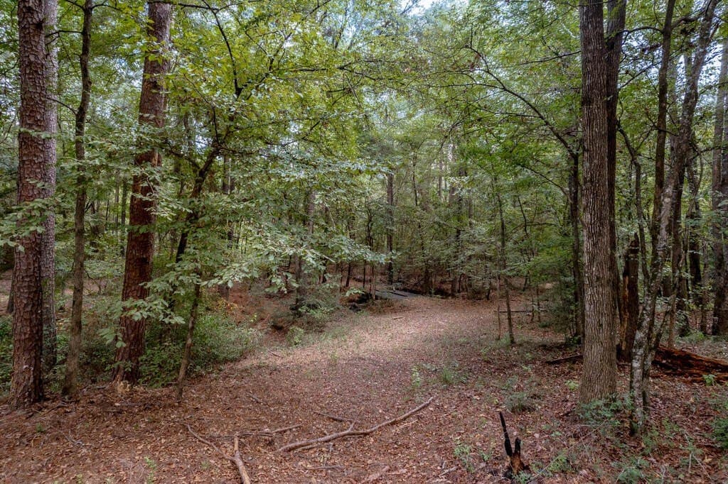21.23 acres in Texas County - photo 36