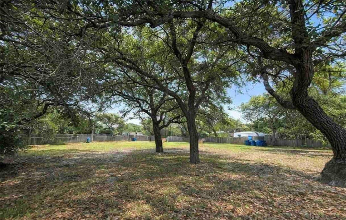 0.3 acres in San Patricio County gallery image 4