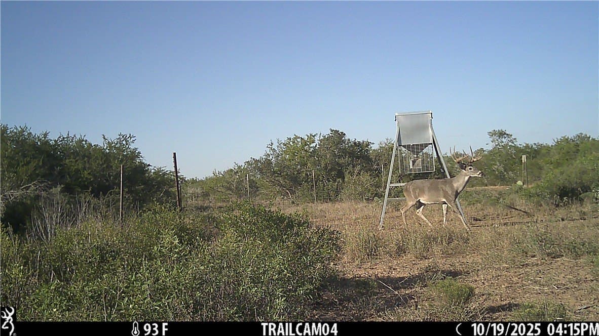 1,212 acres in Jim Wells County - photo 23