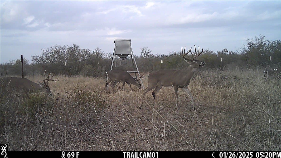 1,212 acres in Jim Wells County - photo 24