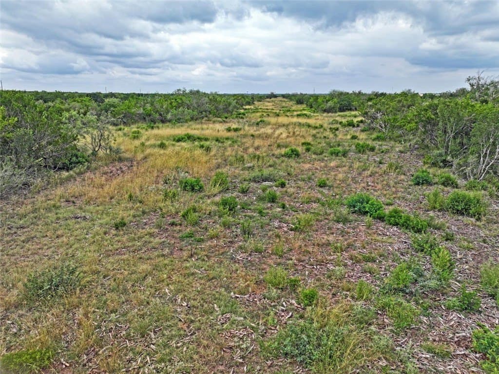 1,212 acres in Jim Wells County gallery image 2