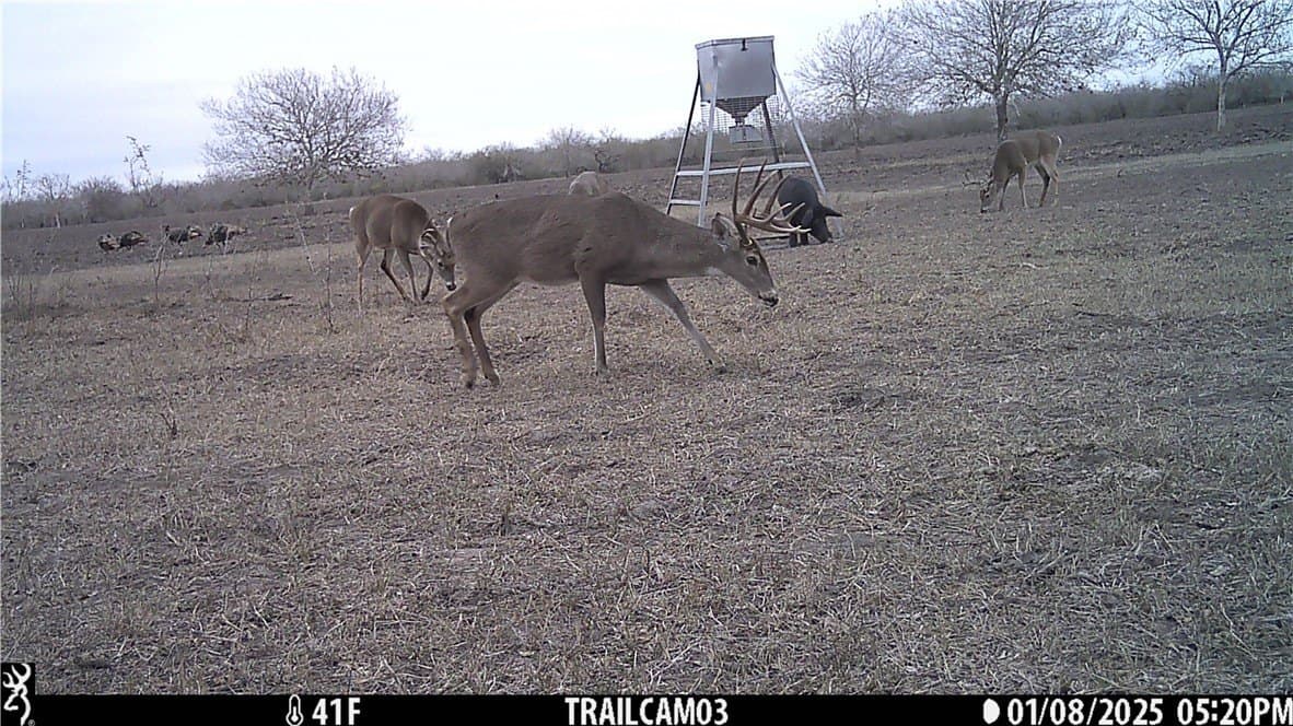 1,212 acres in Jim Wells County - photo 17