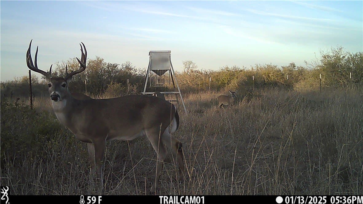 1,212 acres in Jim Wells County - photo 8