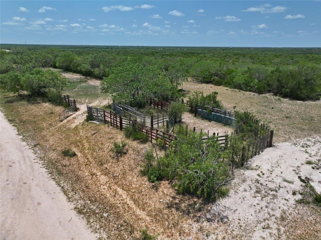 1,212 acres in Jim Wells County - photo 6