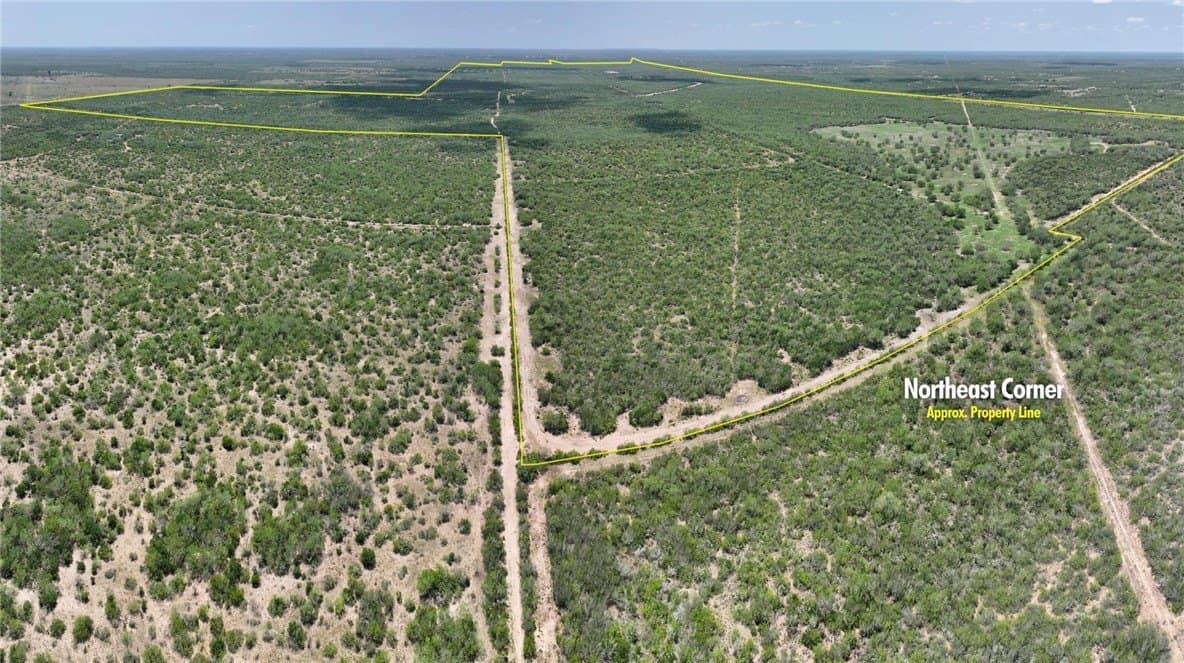 1,212 acres in Jim Wells County - photo 13