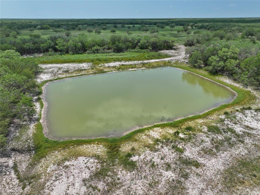1,212 acres in Jim Wells County gallery image 3