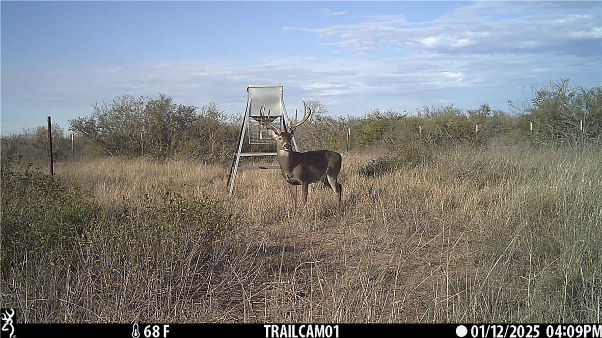 1,212 acres in Jim Wells County - photo 12