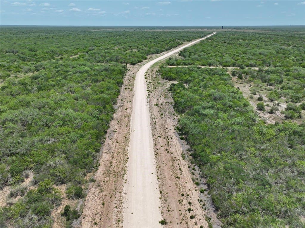 1,212 acres in Jim Wells County gallery image 4