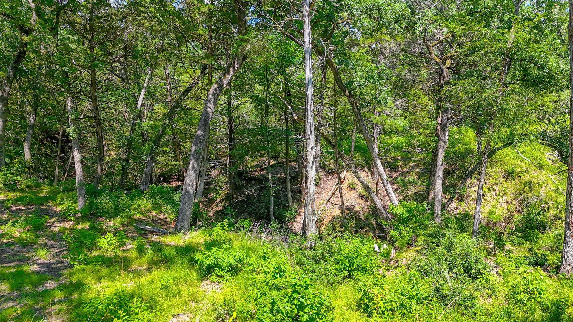 1.1 acres in Freestone County - photo 20