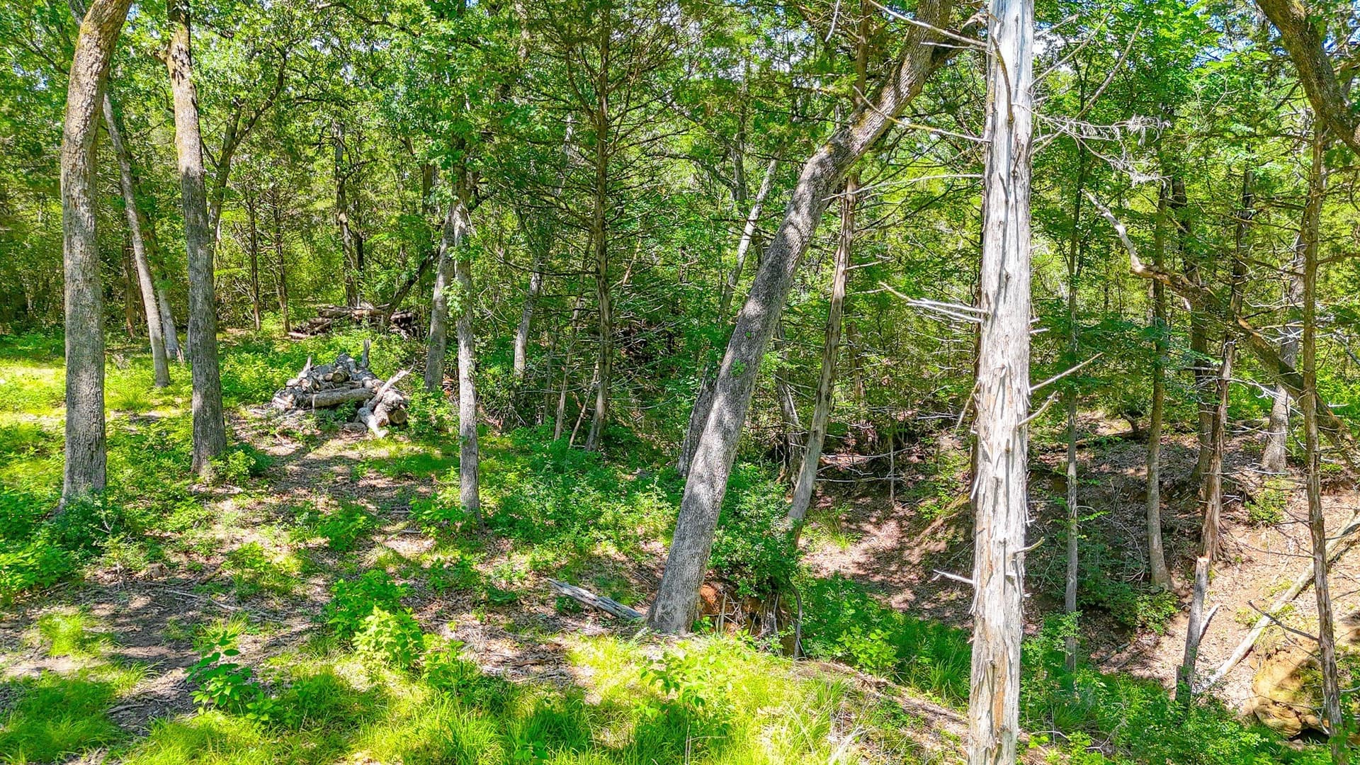 1.1 acres in Freestone County - photo 21