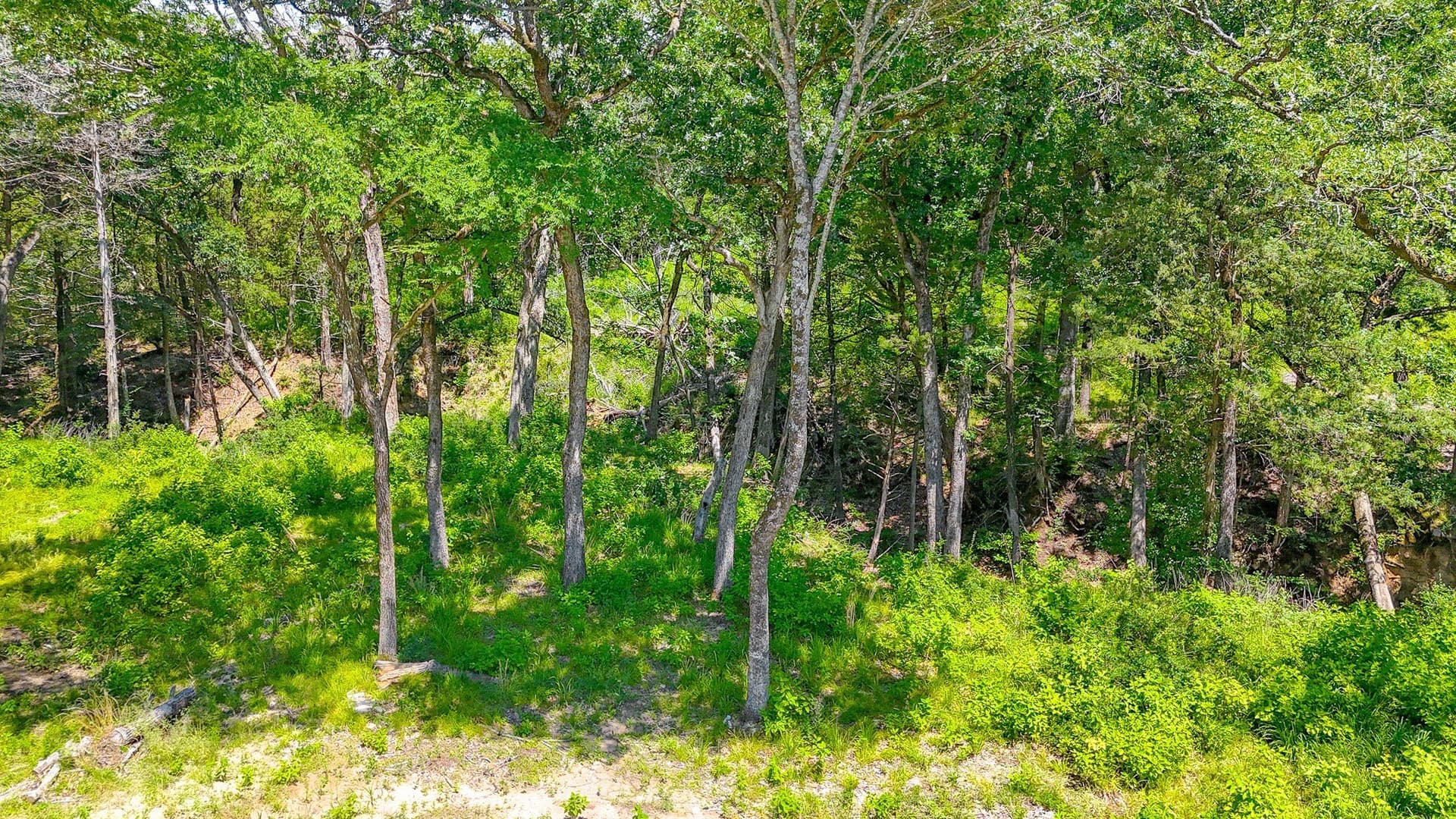 1.1 acres in Freestone County - photo 19