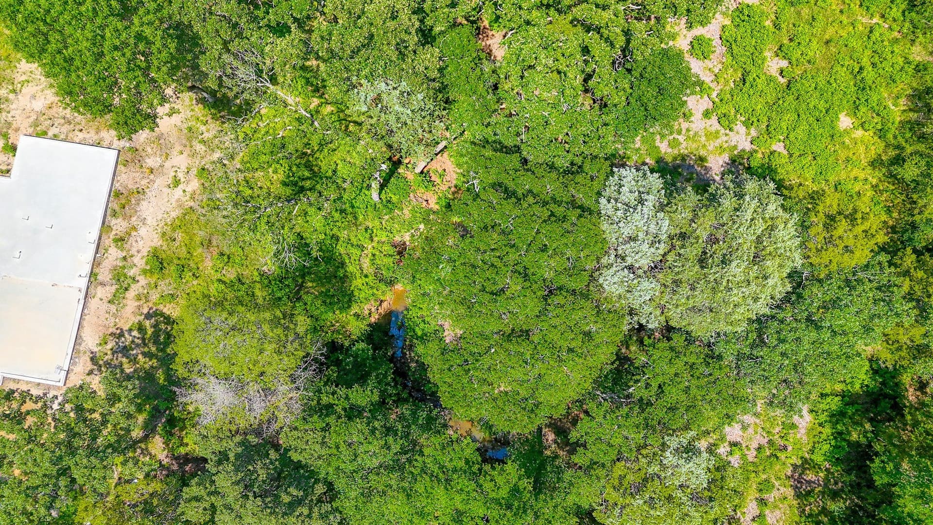1.1 acres in Freestone County - photo 3