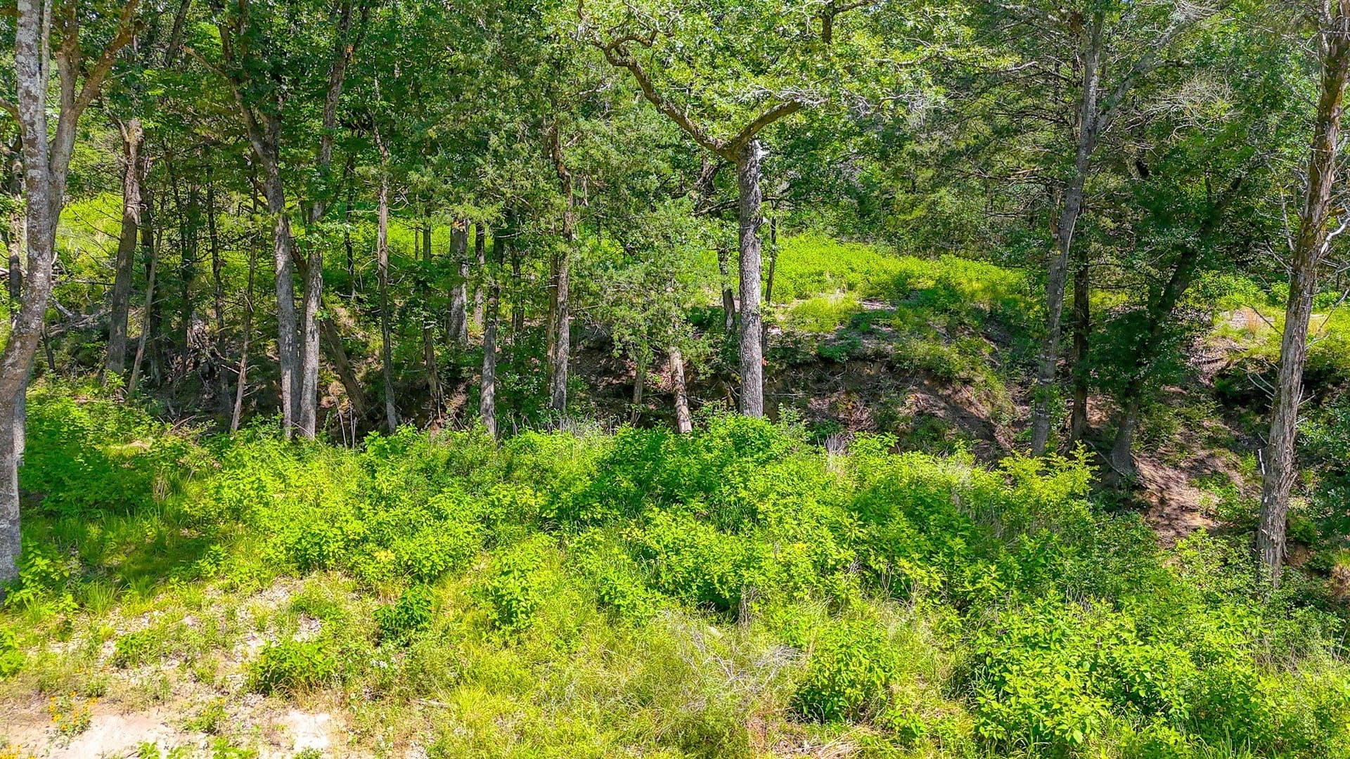 1.1 acres in Freestone County - photo 5