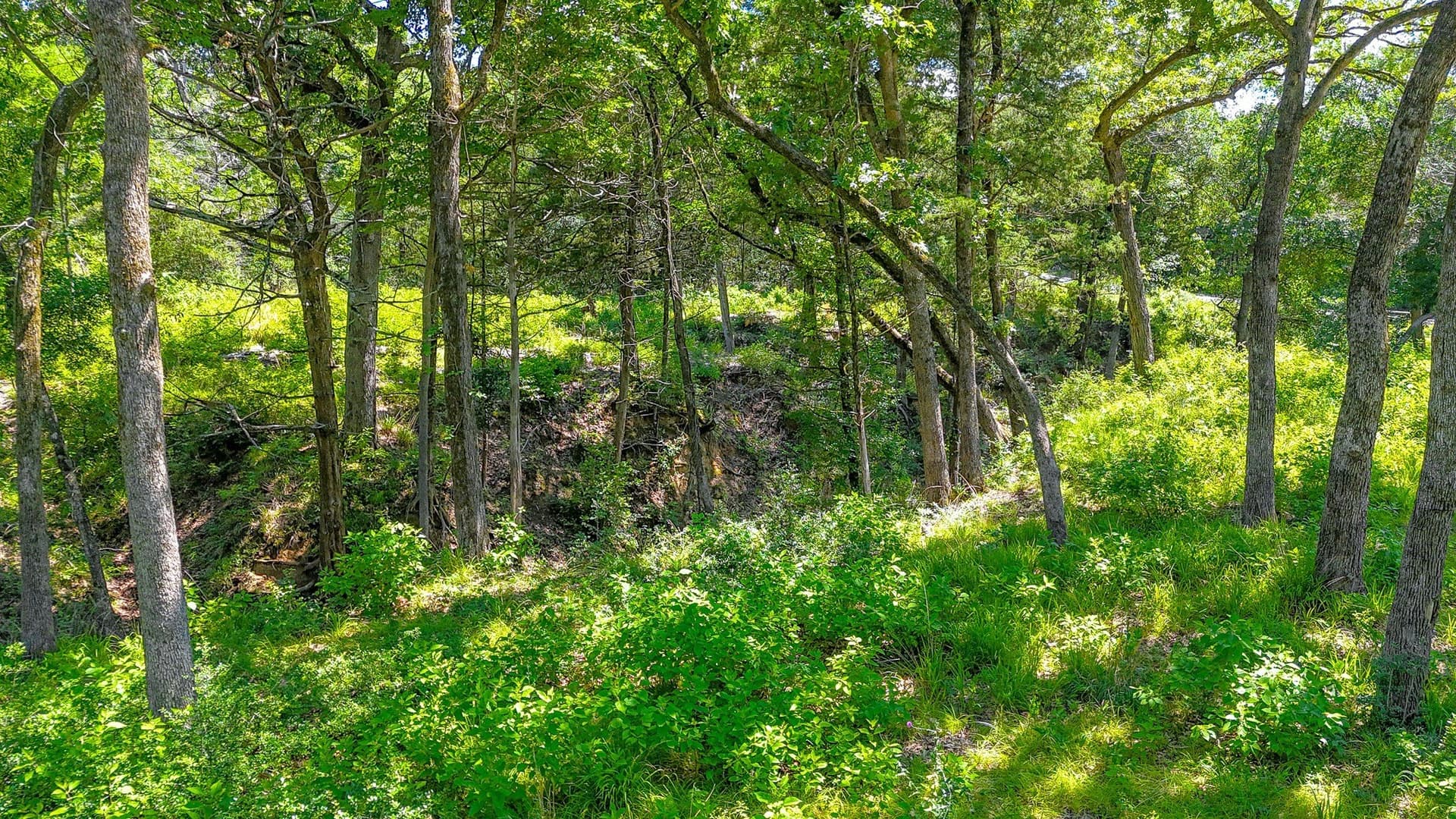 1.1 acres in Freestone County - photo 22