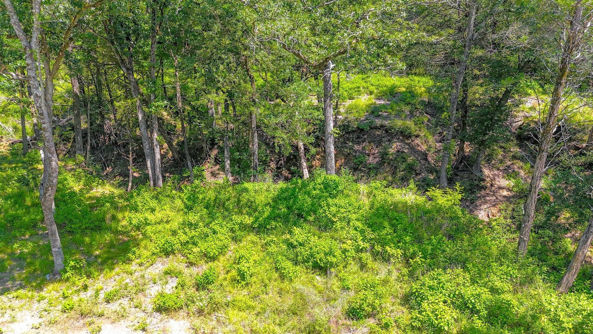 1.1 acres in Freestone County - photo 18