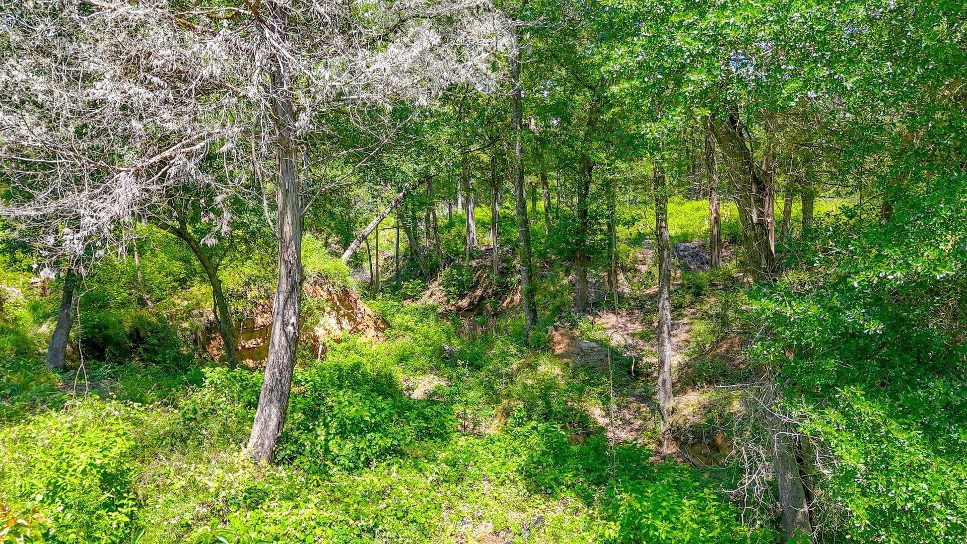 1.1 acres in Freestone County - photo 17