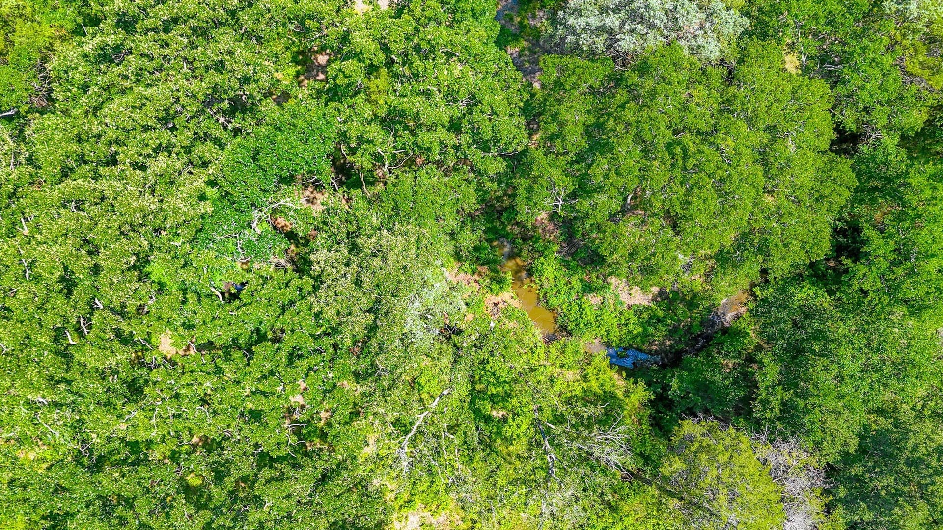 1.1 acres in Freestone County - photo 16