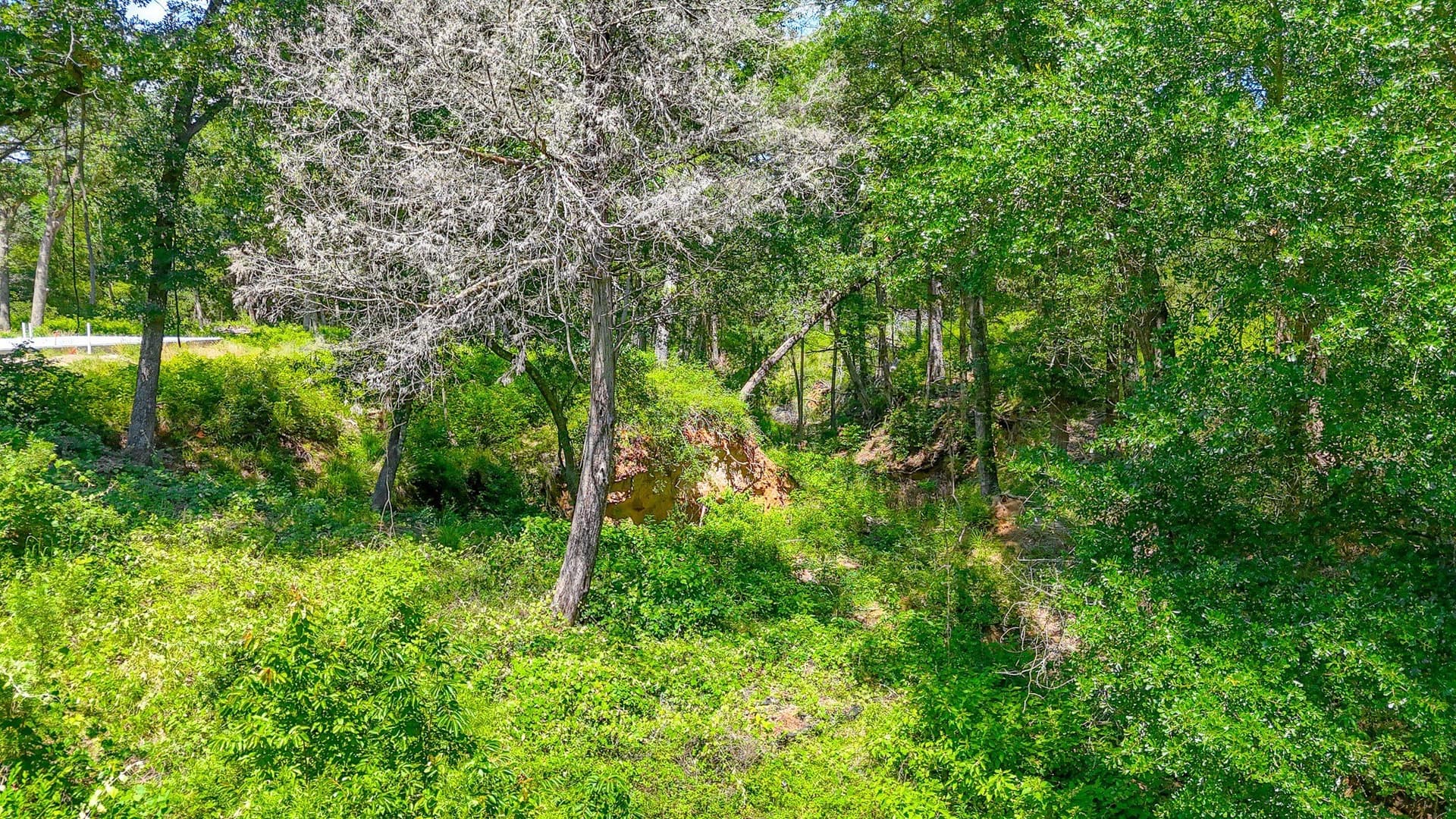 1.1 acres in Freestone County - photo 4