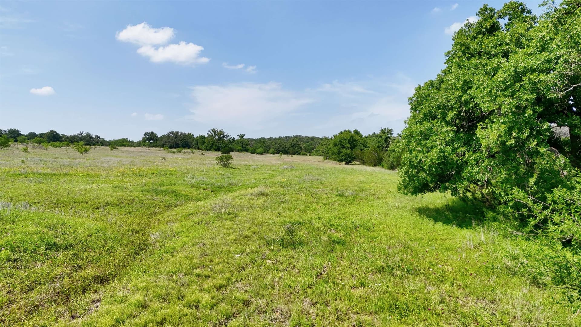 26.5 acres in Llano County - photo 34