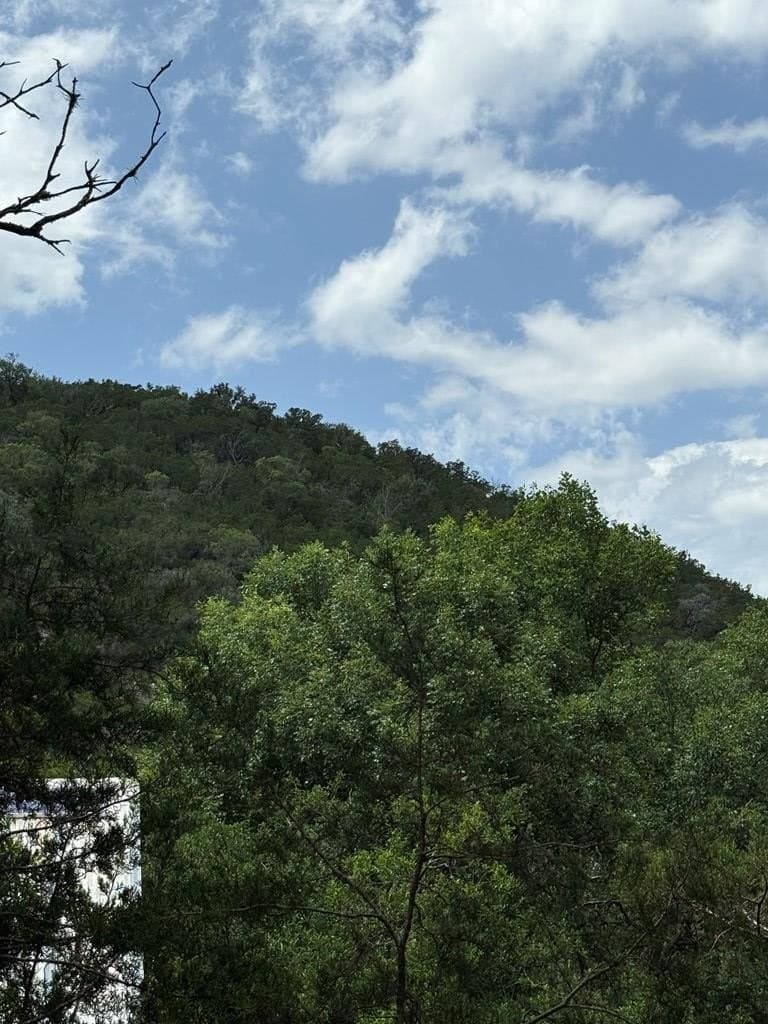31.77 acres in Bandera County - photo 14