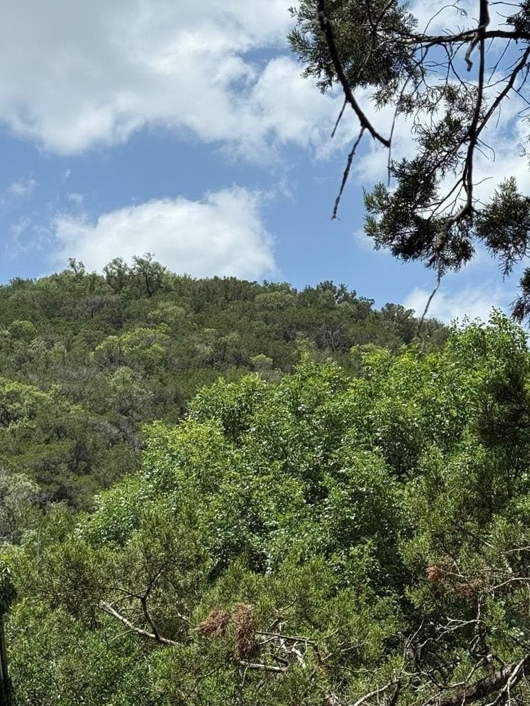 31.77 acres in Bandera County - photo 17