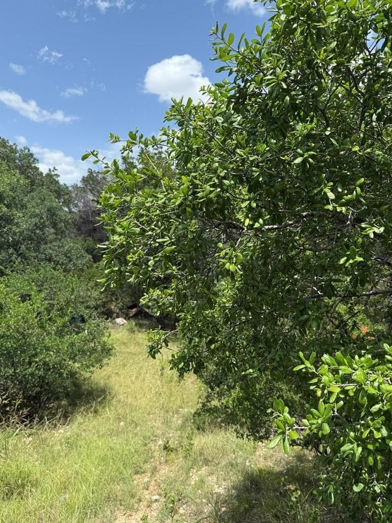 31.77 acres in Bandera County - photo 13