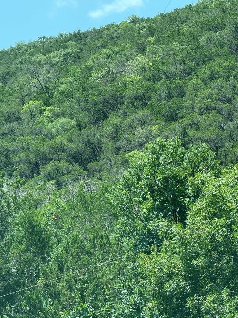 31.77 acres in Bandera County - photo 10