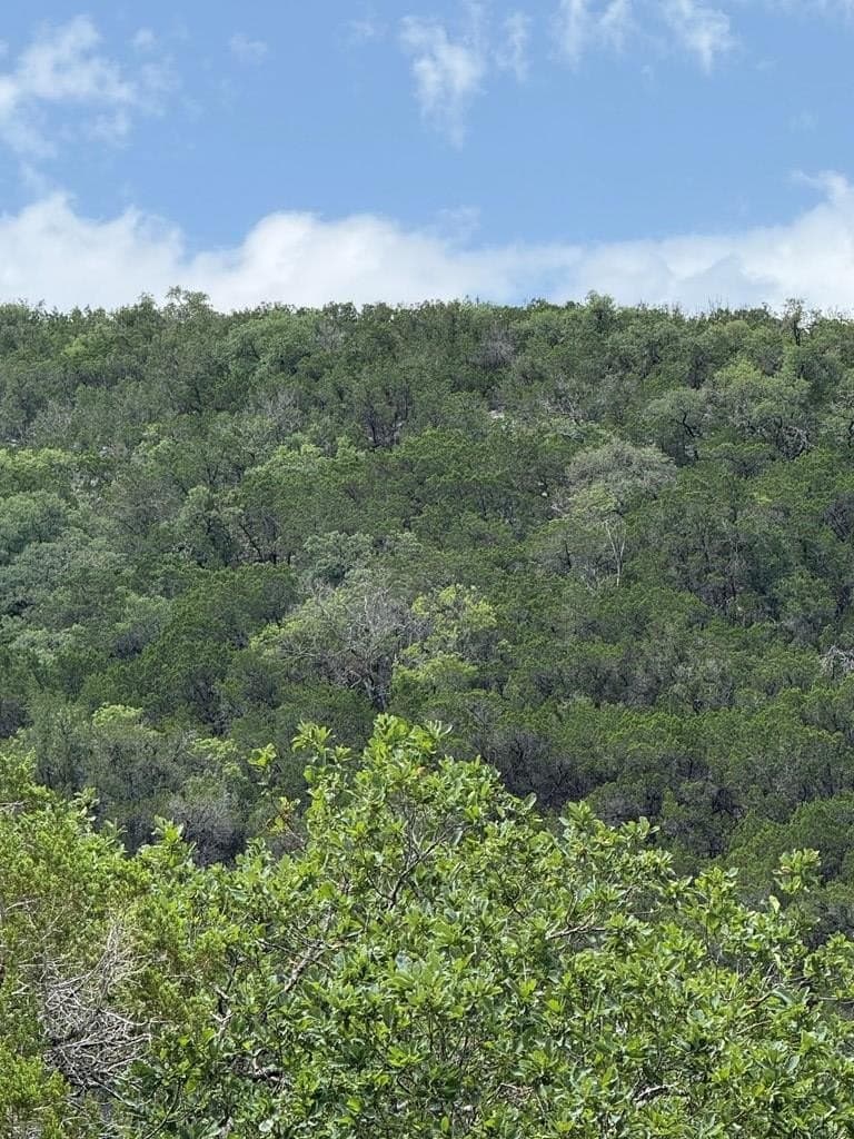 31.77 acres in Bandera County - photo 8