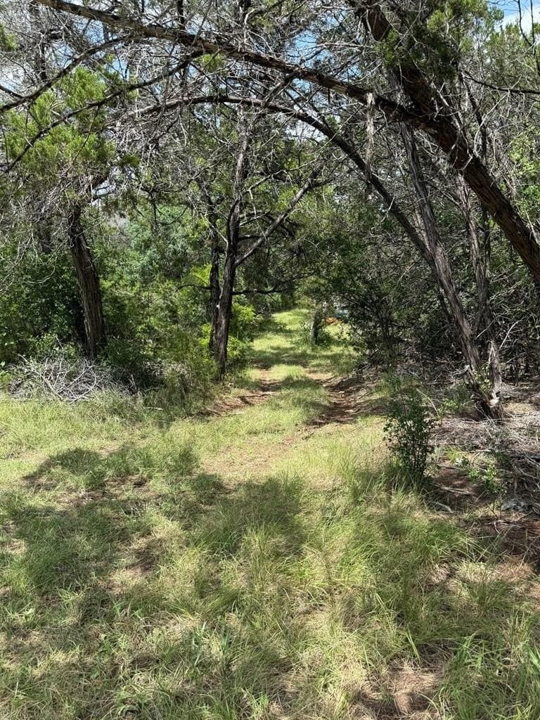 31.77 acres in Bandera County featured view