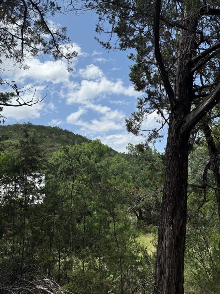 31.77 acres in Bandera County - photo 11