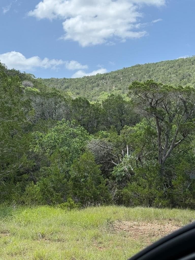 31.77 acres in Bandera County - photo 19