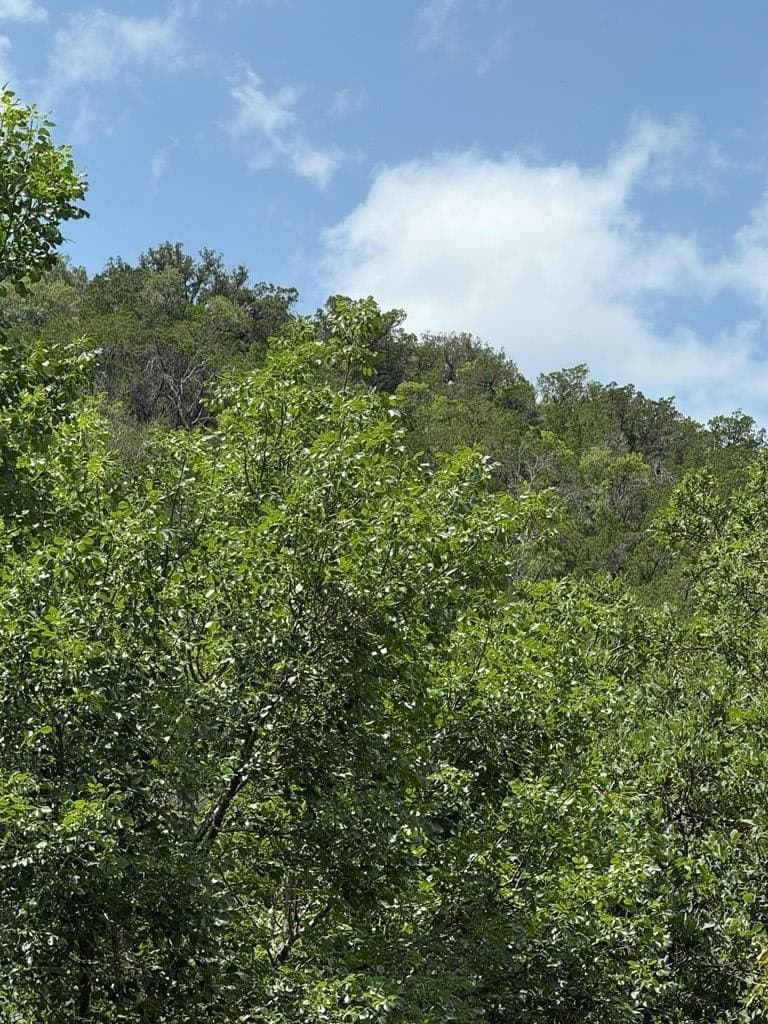 31.77 acres in Bandera County gallery image 4