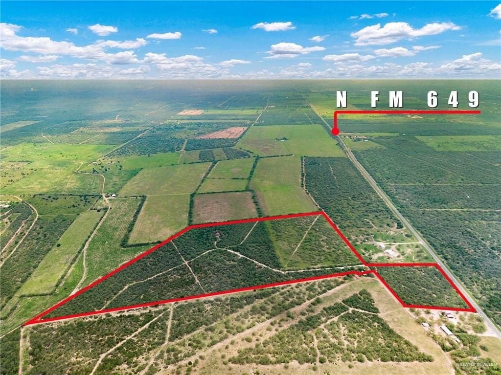68.19 acres in Starr County gallery image 3