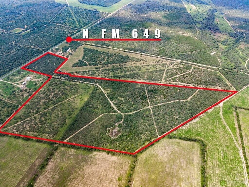 68.19 acres in Starr County gallery image 4