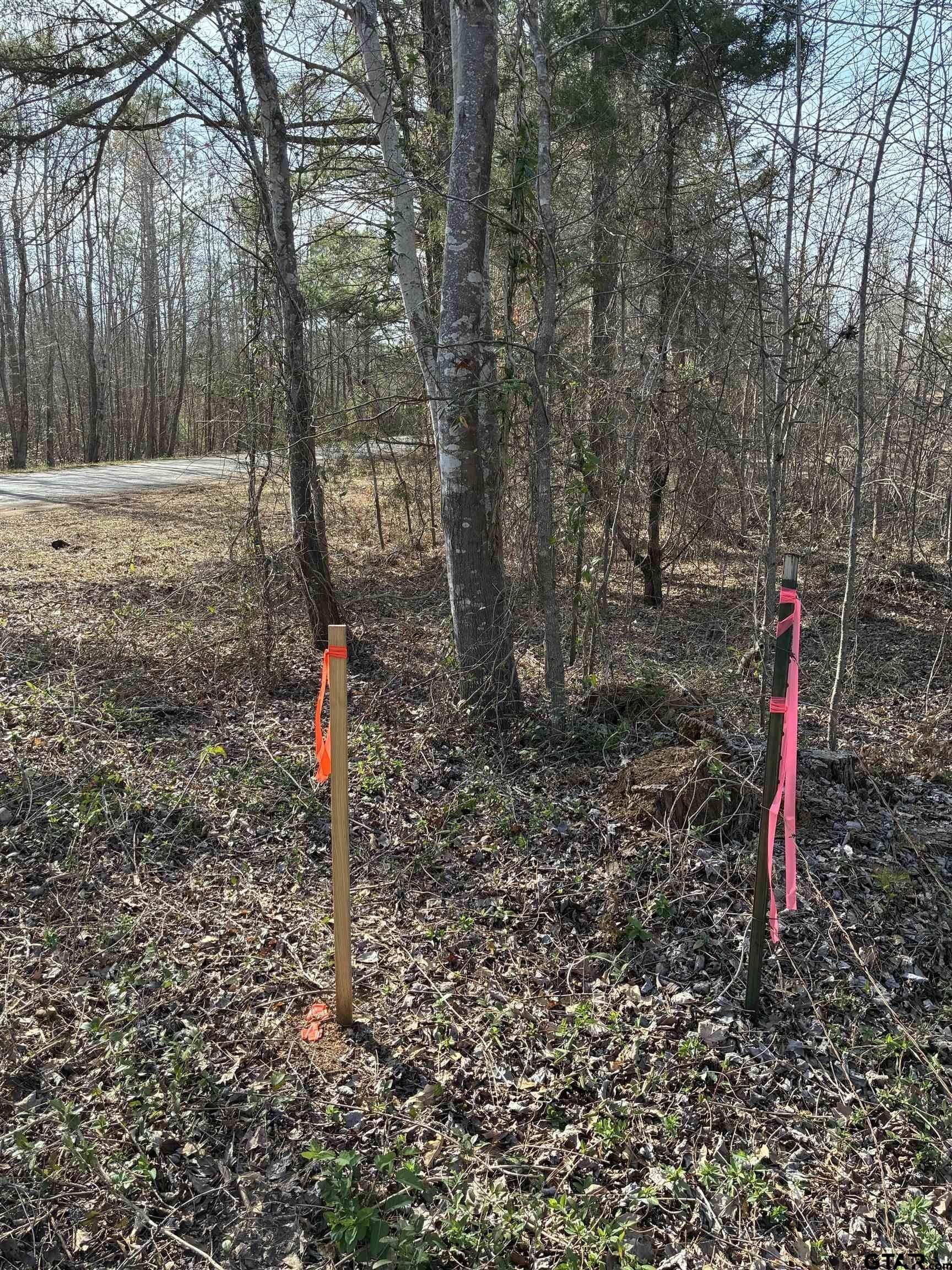 11 acres in Smith County gallery image 2