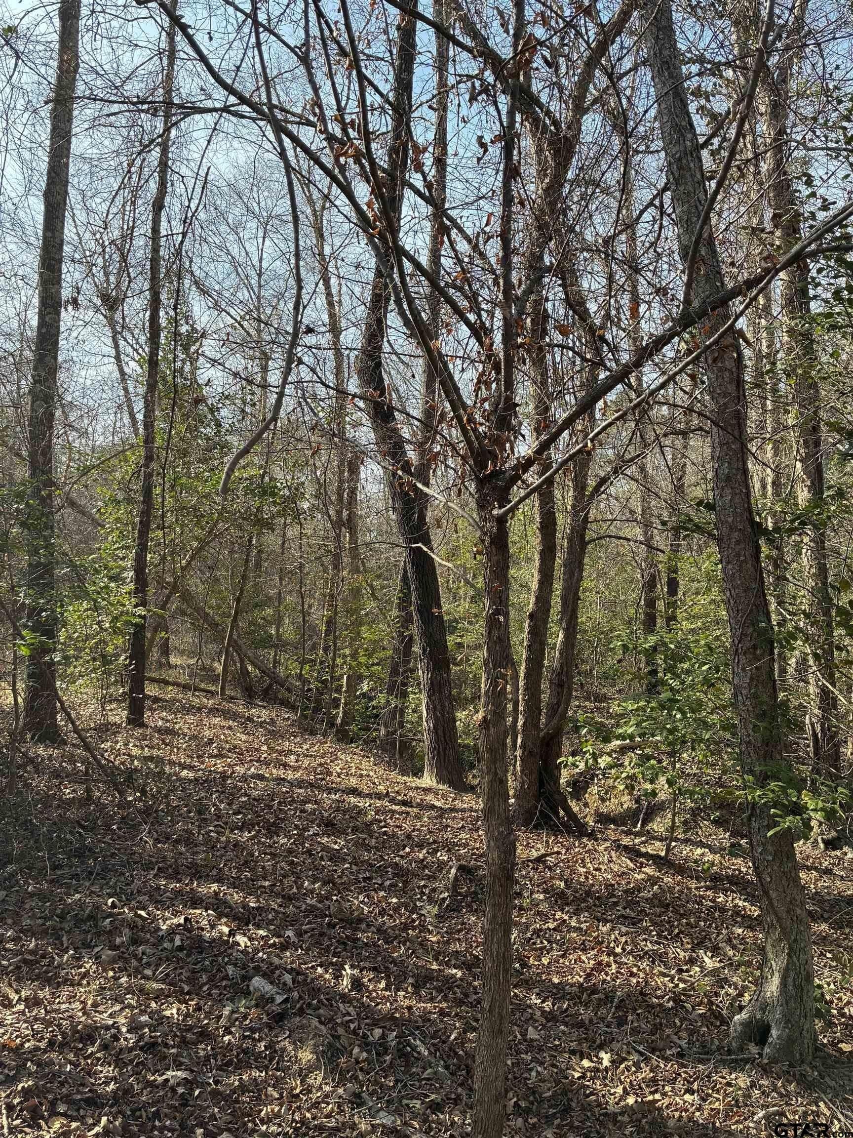 11 acres in Smith County featured view