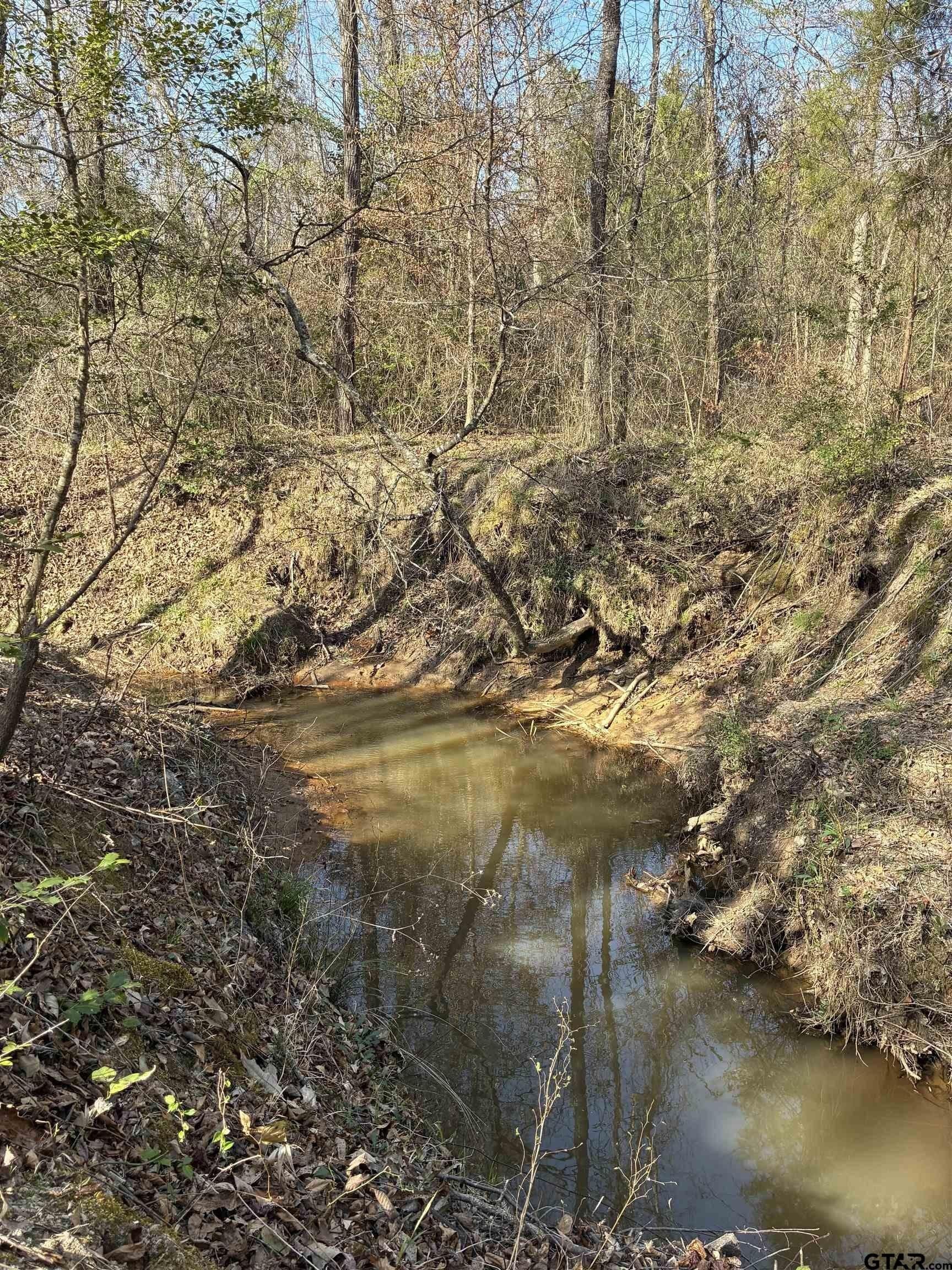 11 acres in Smith County gallery image 4