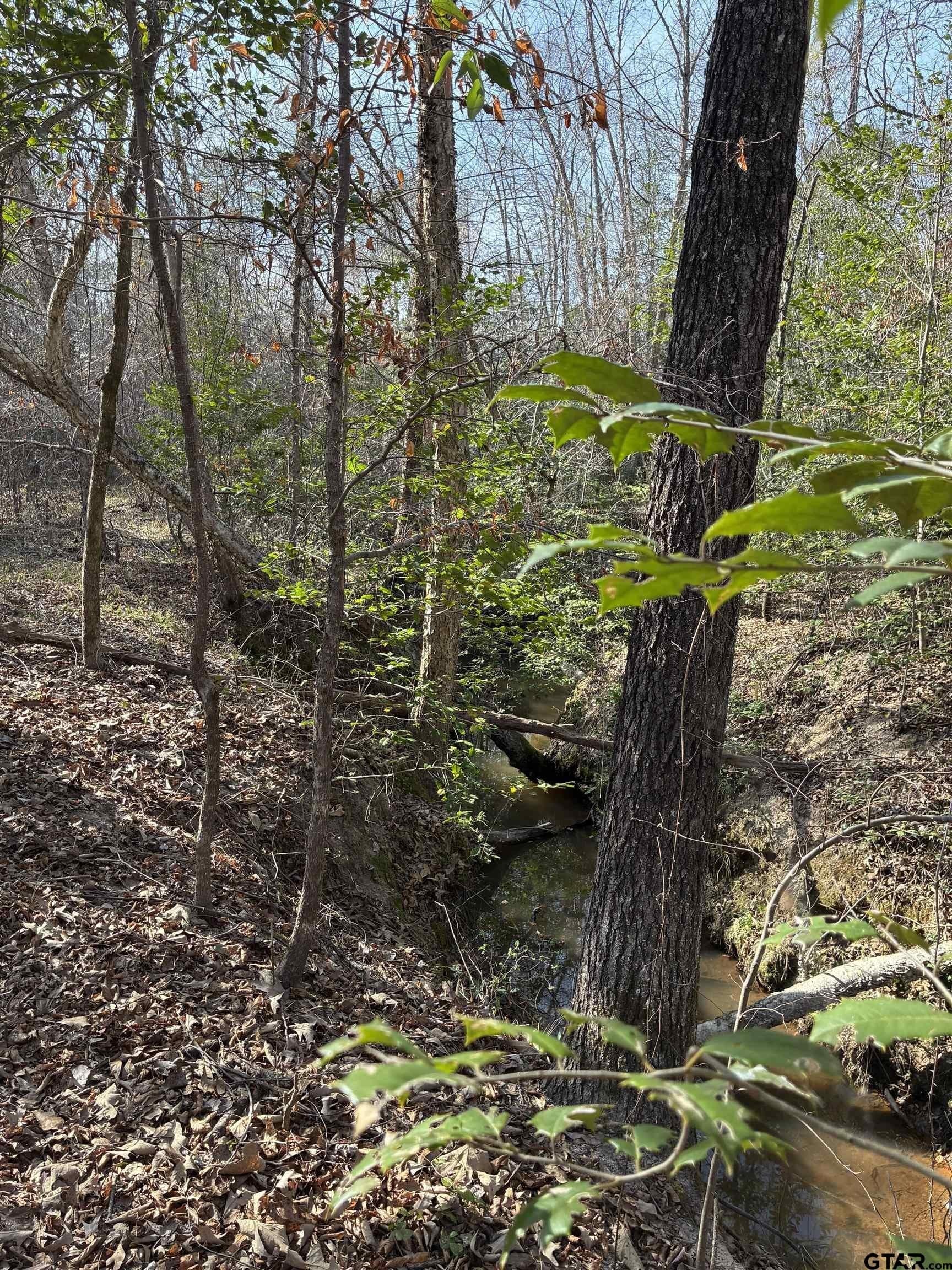 11 acres in Smith County gallery image 3