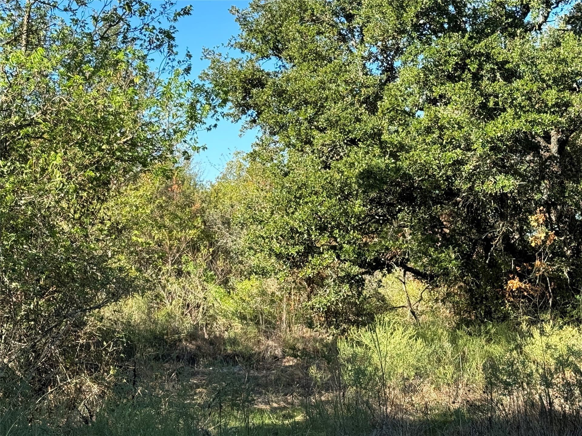 5.88 acres in Comanche County - photo 15
