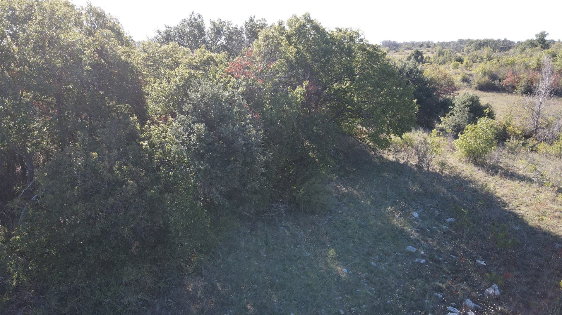 5.88 acres in Comanche County - photo 18