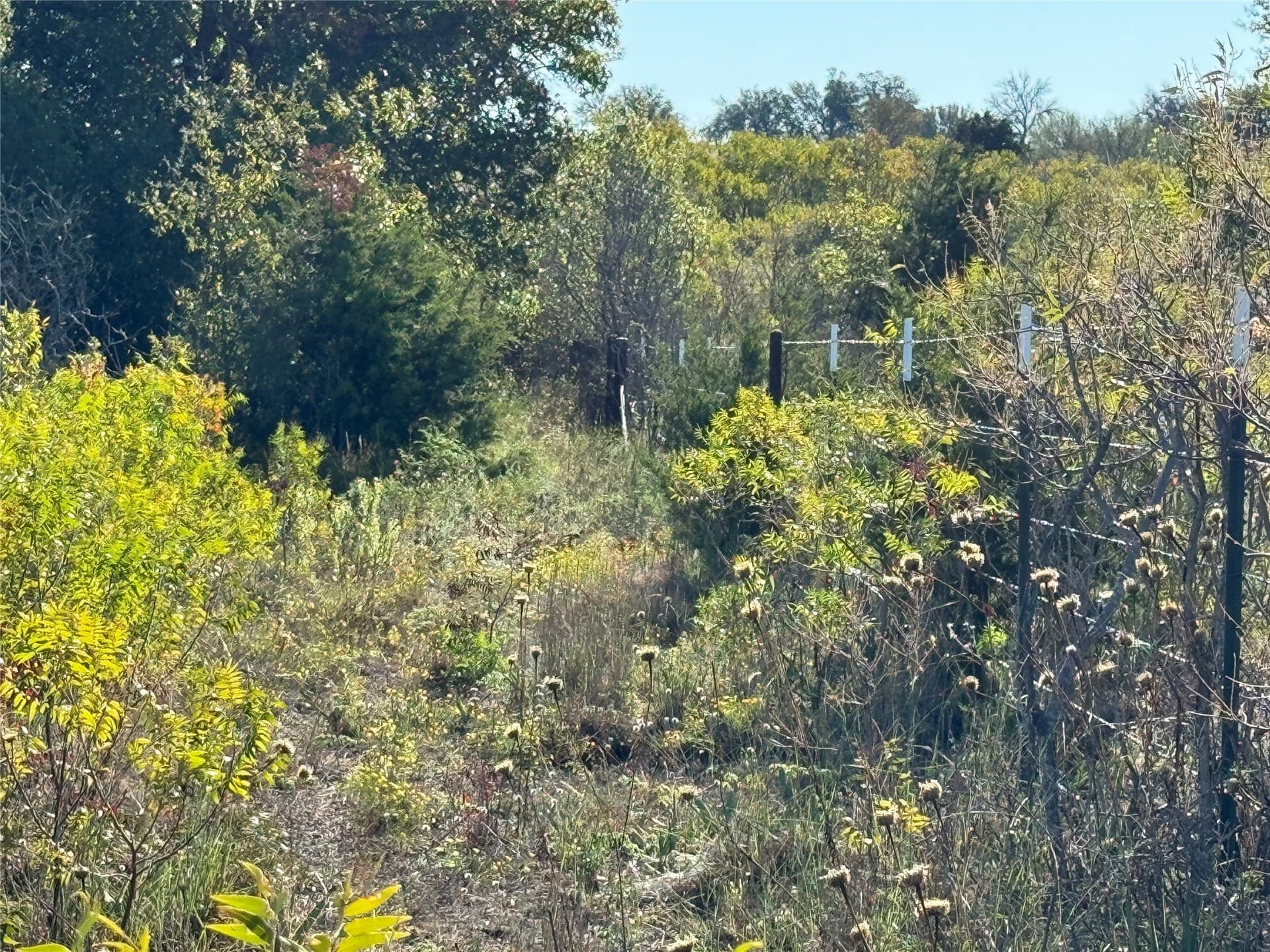 5.88 acres in Comanche County - photo 8