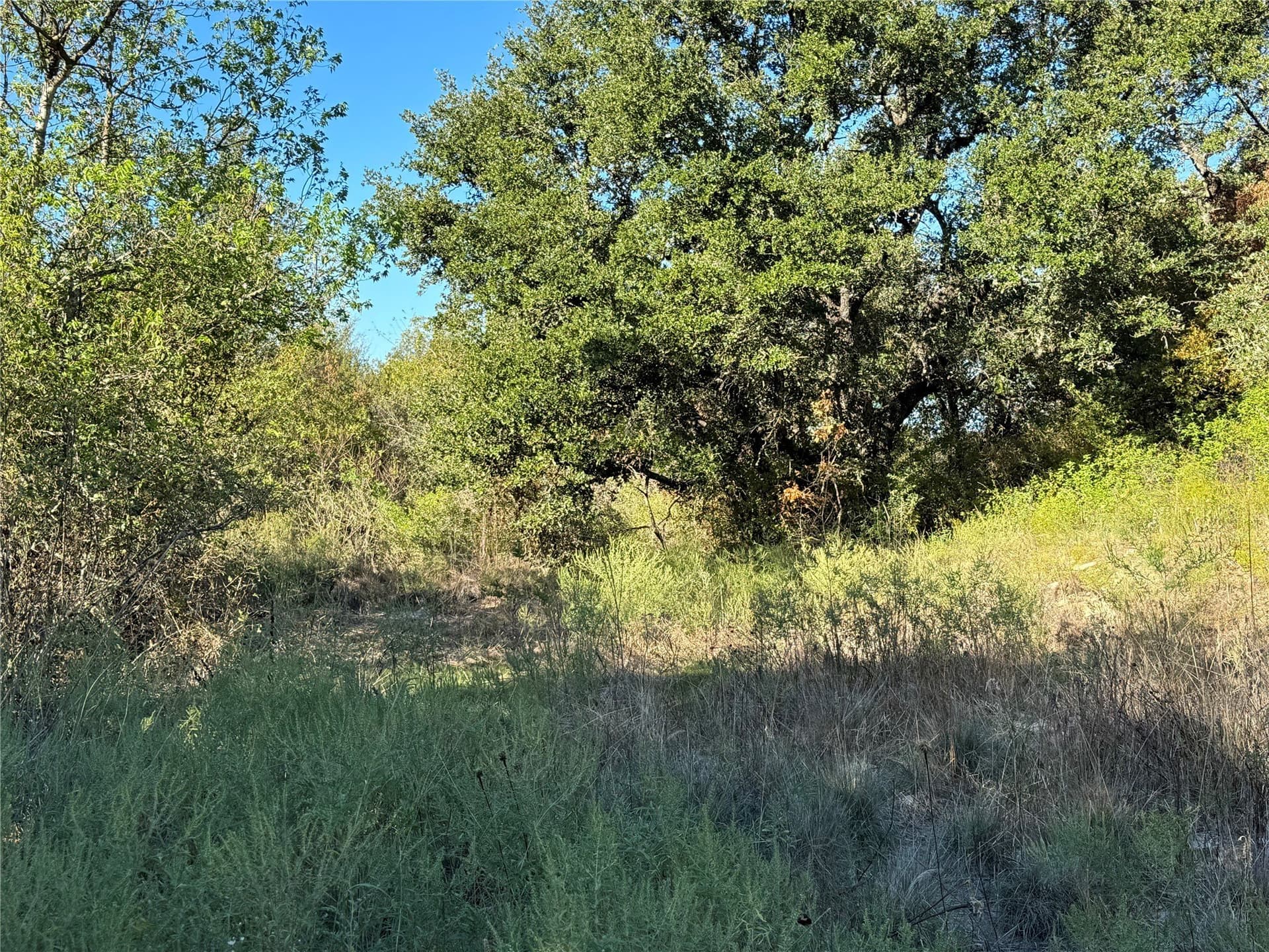 5.88 acres in Comanche County - photo 21