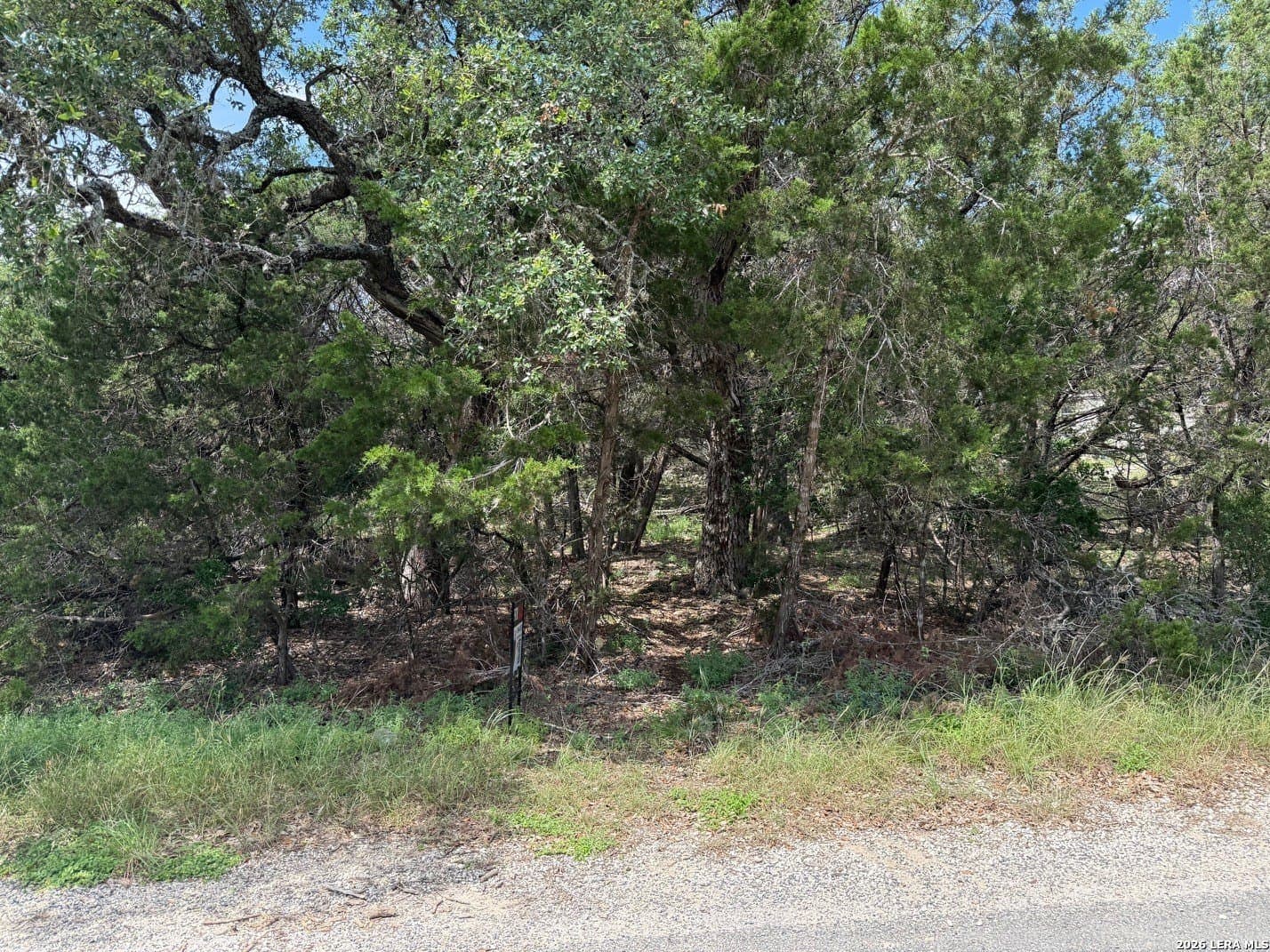 0.3 acres in Comal County - photo 6