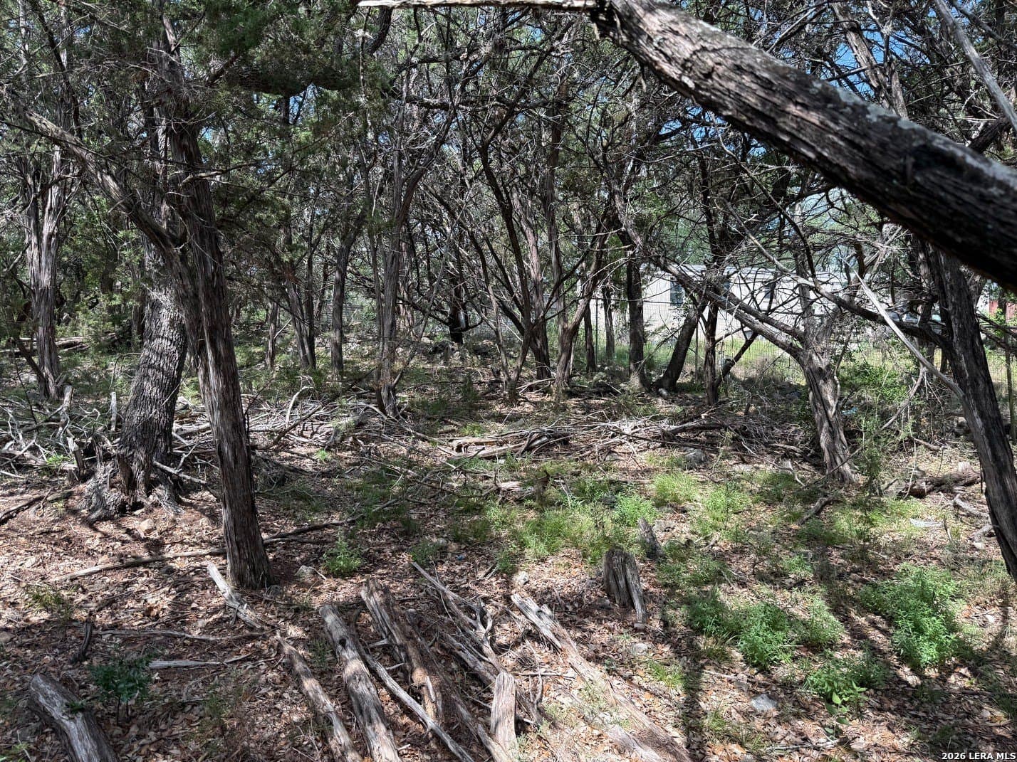 0.3 acres in Comal County featured view