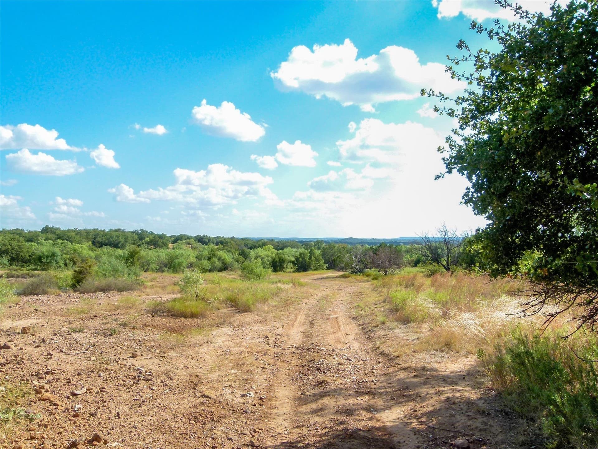 239.09 acres in Brown County - photo 38