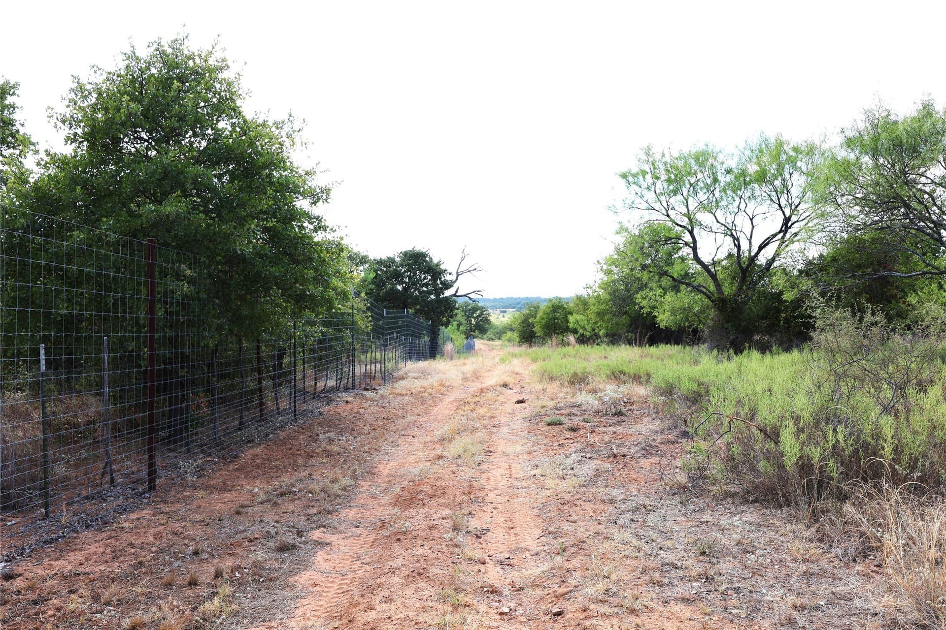 239.09 acres in Brown County - photo 27