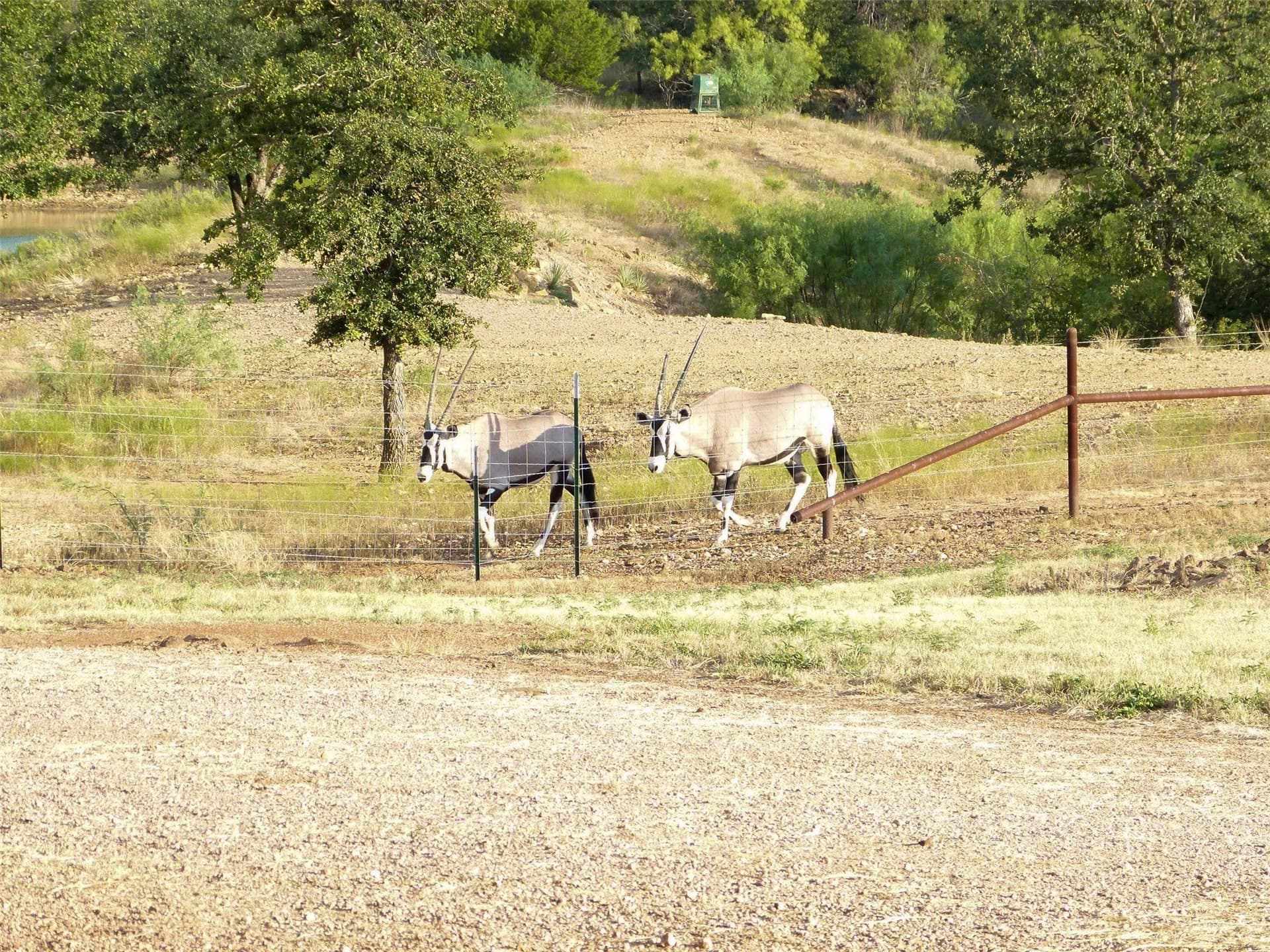 239.09 acres in Brown County - photo 33