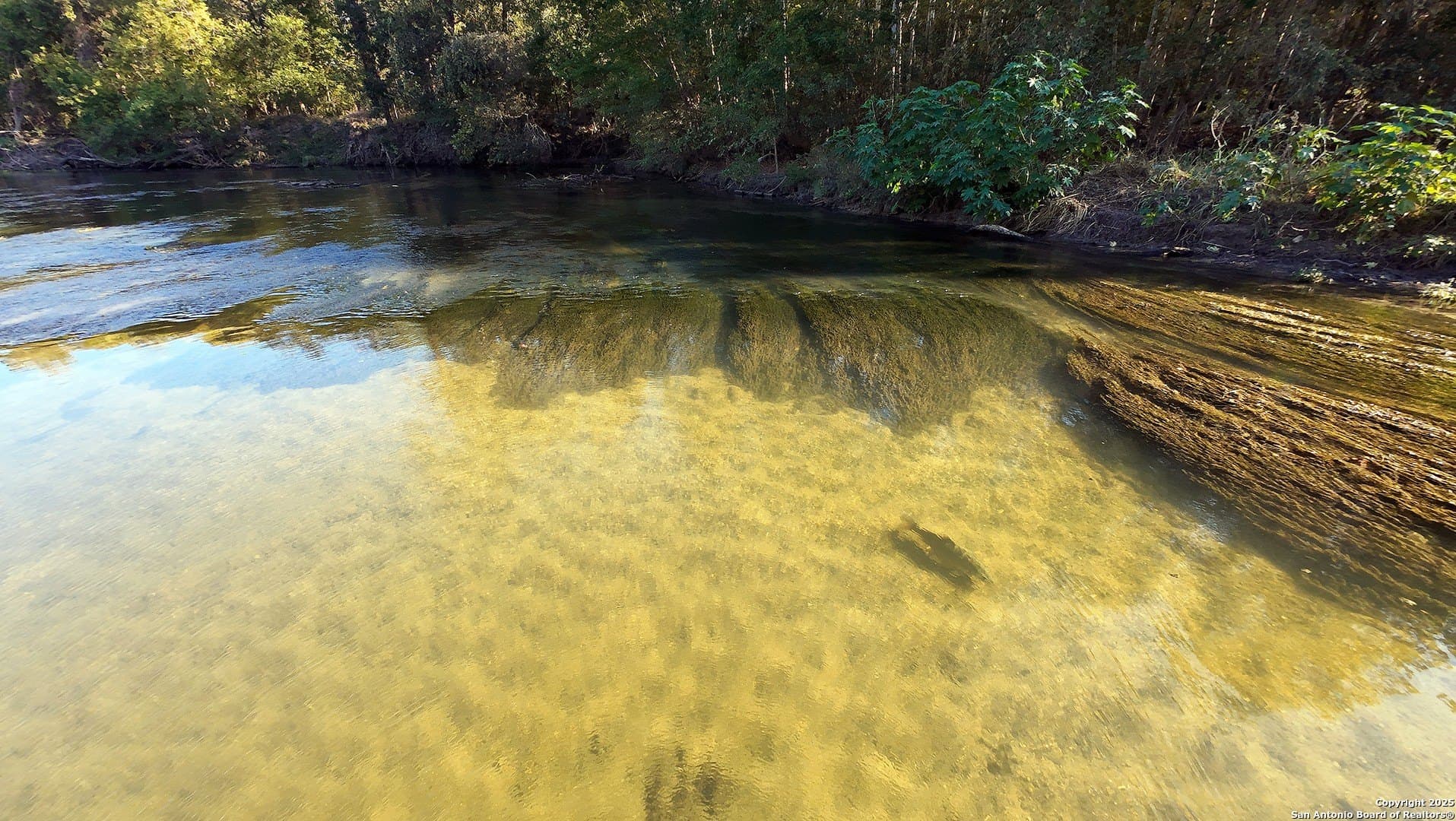 101.2 acres in Guadalupe County - photo 8
